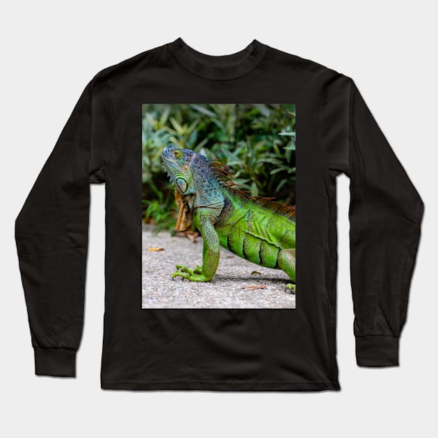 Green Lizard Dragon Long Sleeve T-Shirt by econaki